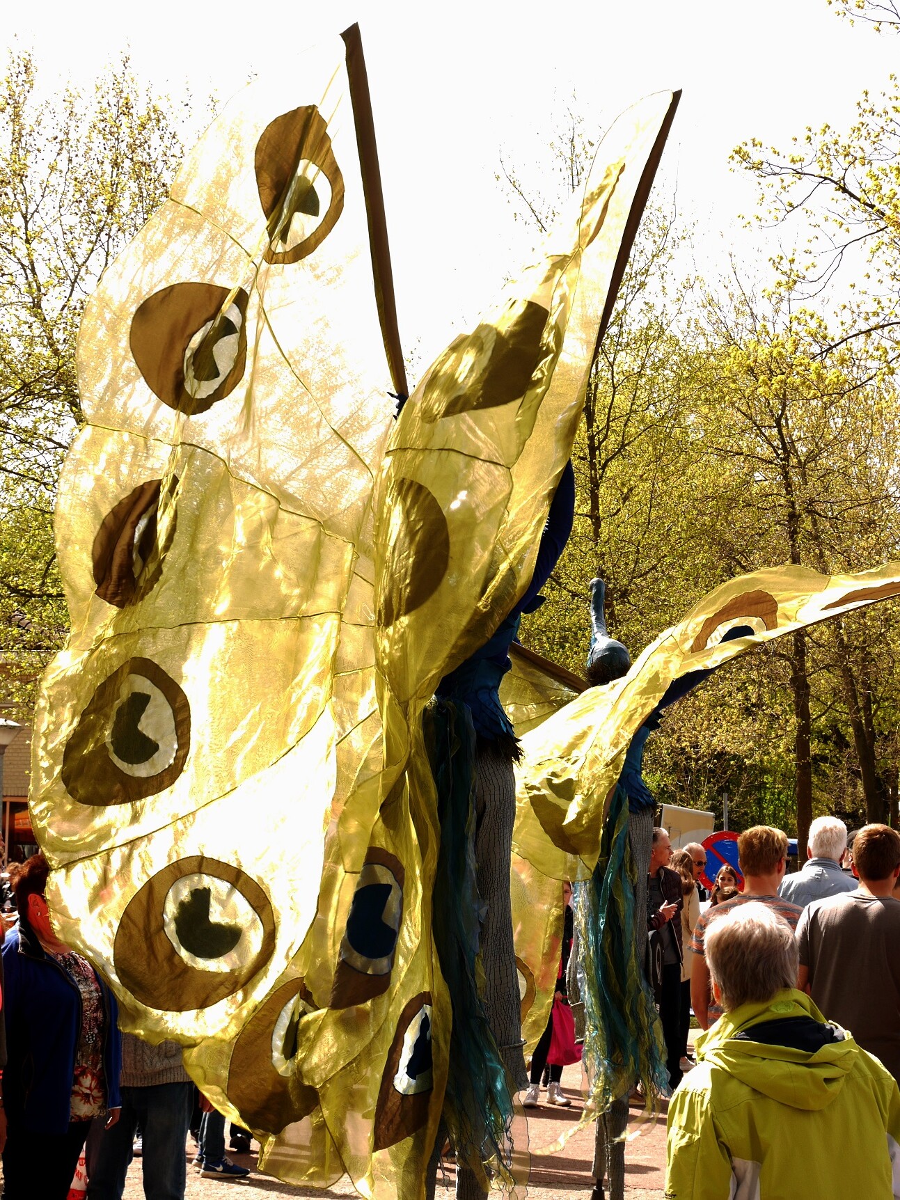 pauwen steltenlopers sense theater steltenlopers steltenact proud peacocks dieren op stelten