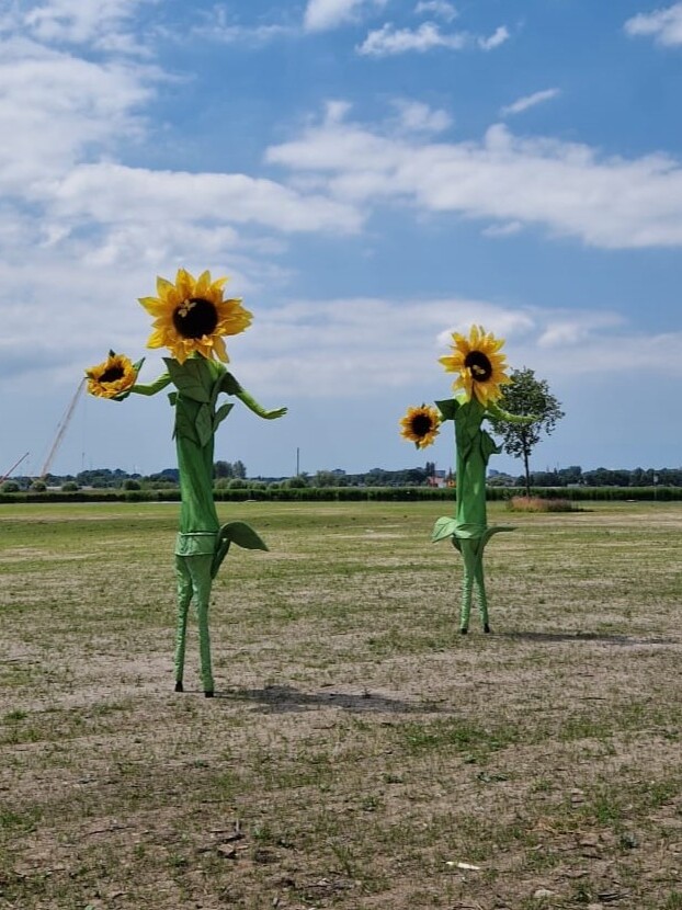 zonnebloemen op stelten steltenlopers steltenact straattheater groen natuur