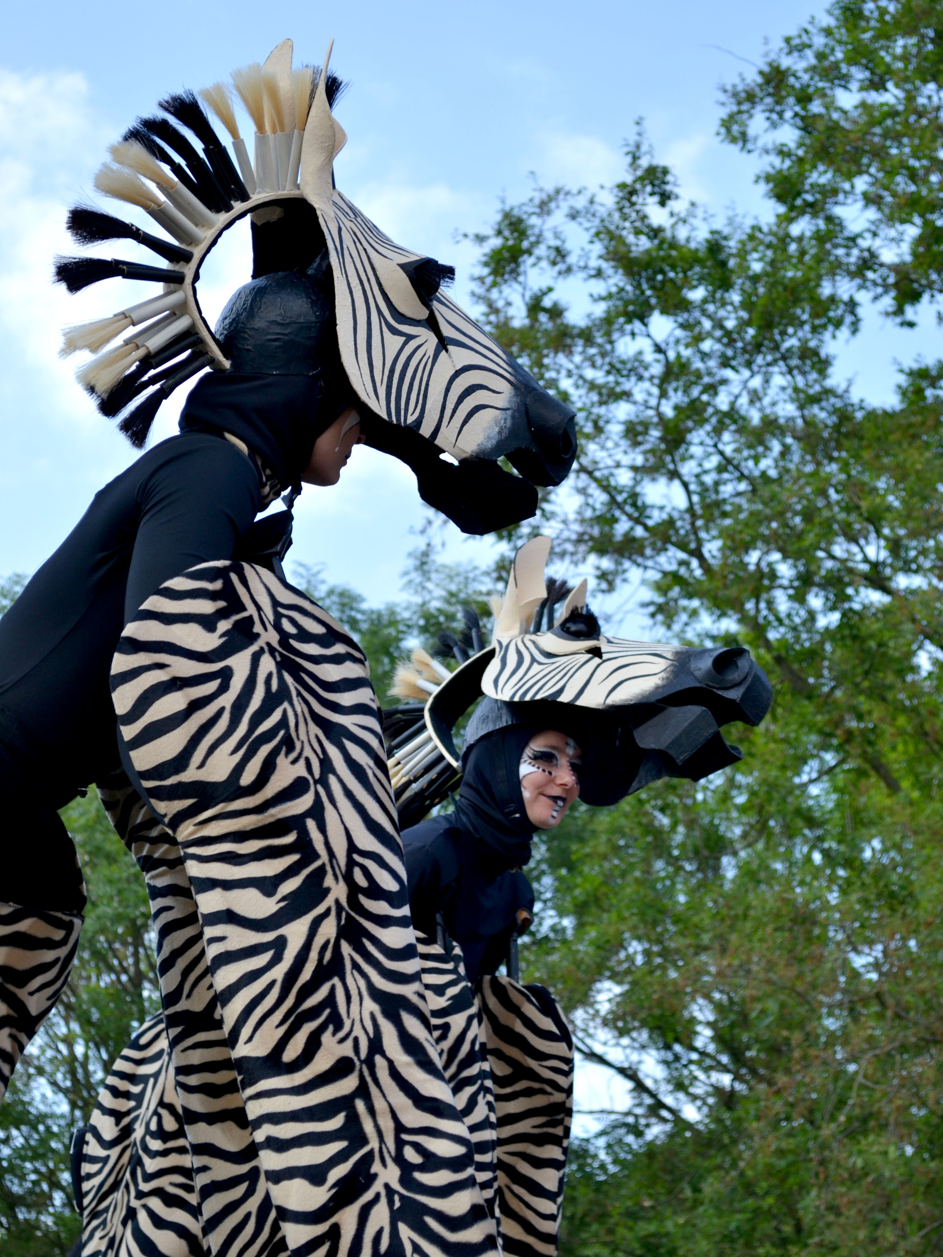 jungle safari zebra steltentheater straattheater act op stelten zebras steltenlopers steltlopers afrika entertainment huren boeken