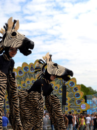 zebra steltenlopers dierentuin afrika dieren op stelten jungle safari