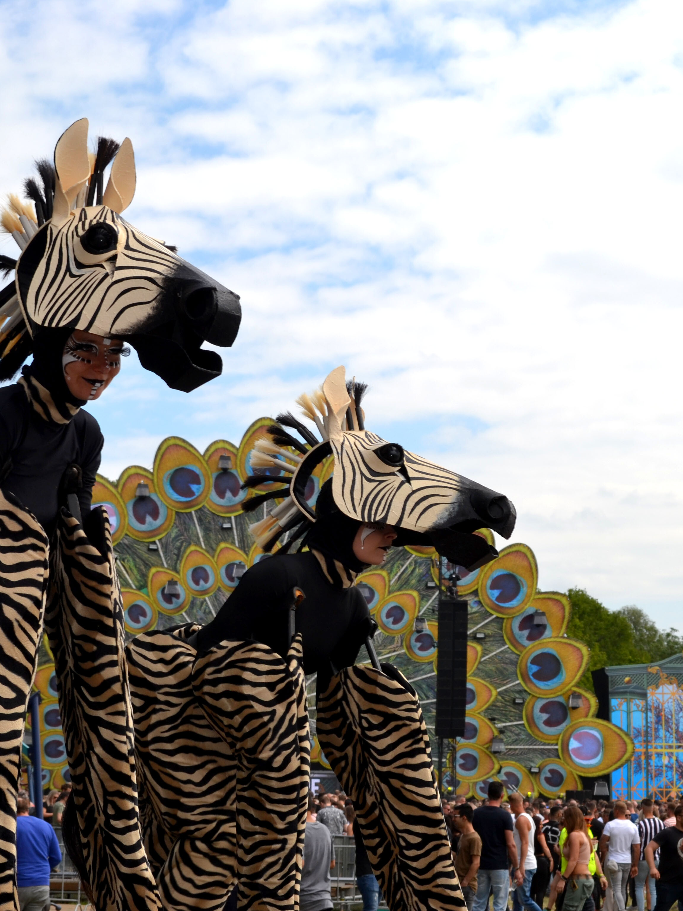 zebra steltenlopers dierentuin afrika dieren op stelten jungle safari