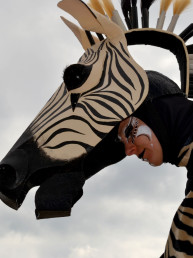 zebra steltenlopers dierentuin afrika steltenact jungle safari op stelten