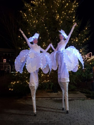 bloemen op stelten ice iceflowers snowflowers steltenlopers lichtgevende led kerstacts