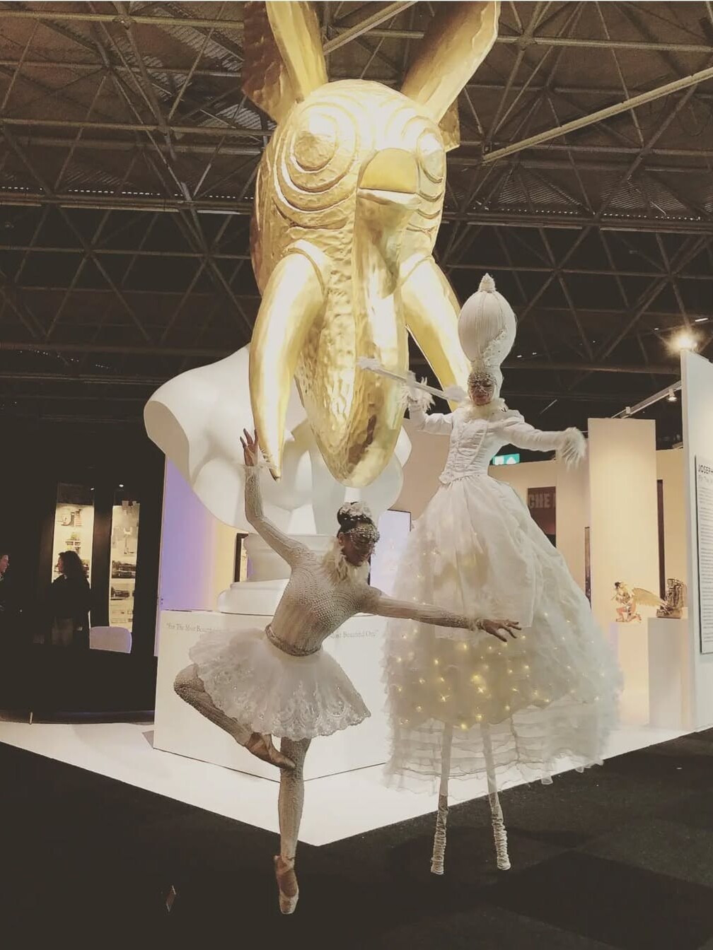 ballerina steltenact steltenlopers steltlopers op stelten winter wonder land ice flowers bloemen op stelten iceflowers