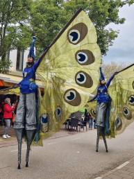 pauwen pauw op steltten pauwen steltenlopers steltenact steltlopers dieren straattheater theater levend