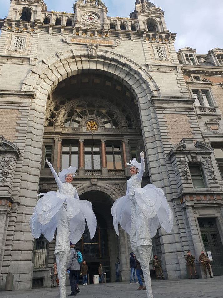 iceflowes steltenlopers snowflowers steltenact steltlopers winterwonderland