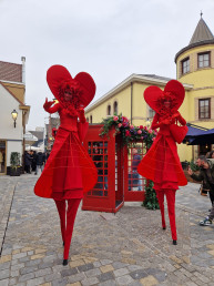 theater valentijn entertainment steltenlopers steltlopers steltenact hartendiefjes hartenliefjes ladies of love levend theater iceflowers ice flowers bloemen op stelten