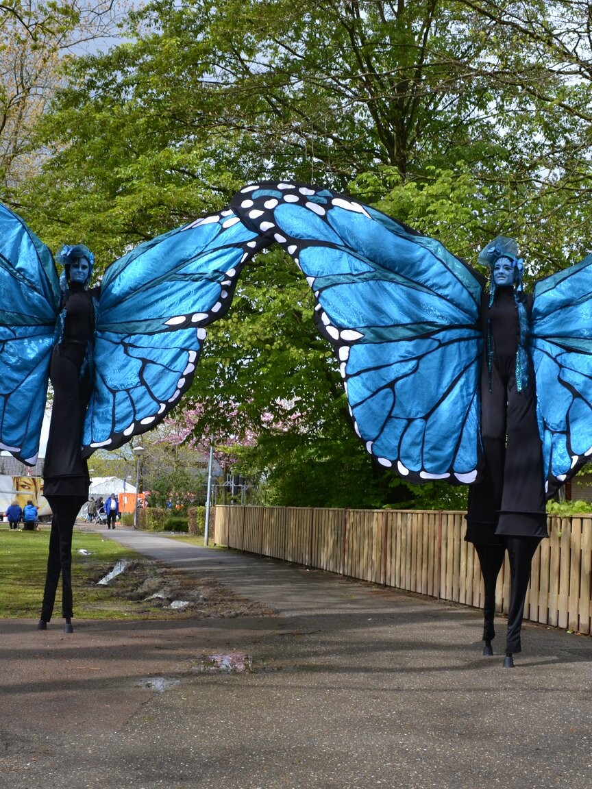 vlinder vlinders op stelten steltenact steltenloper steltloper butterfly on stilts