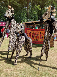 zebra op stelten steltenlopers steltenact steltlopers straattheater steltentheater