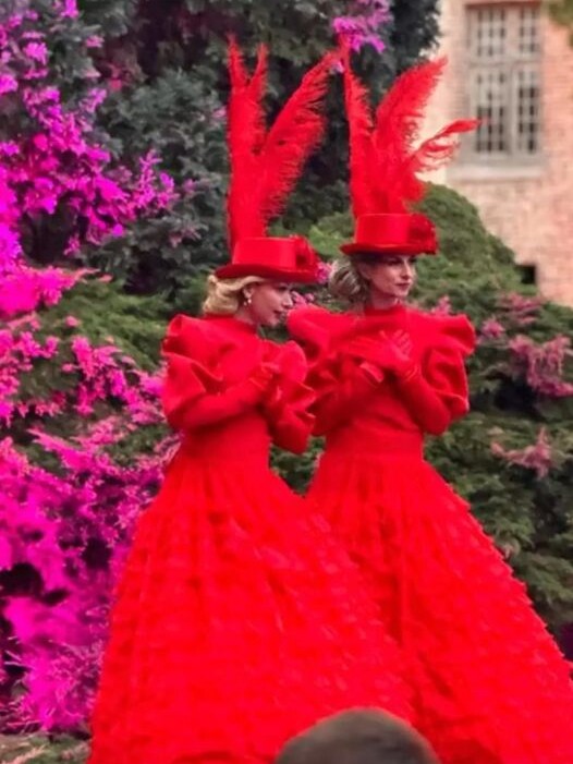 valentijn entertainment huren boeken rood steltenlopers steltenlopers steltenact liefde moederdag
