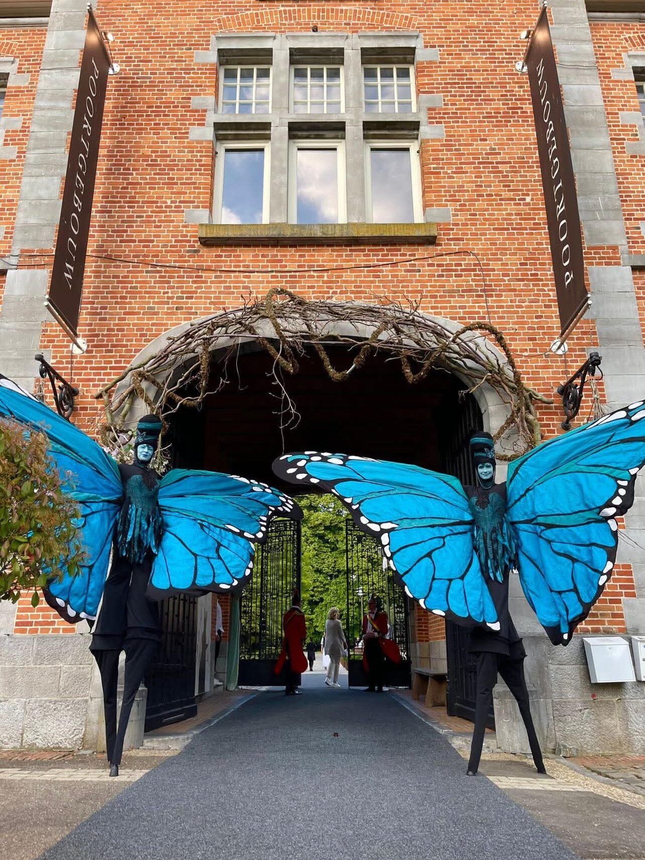 blauwe vlinder op stelten stelltenlopers steltenact bloemen natuur