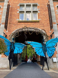blauwe vlinder op stelten stelltenlopers steltenact bloemen natuur