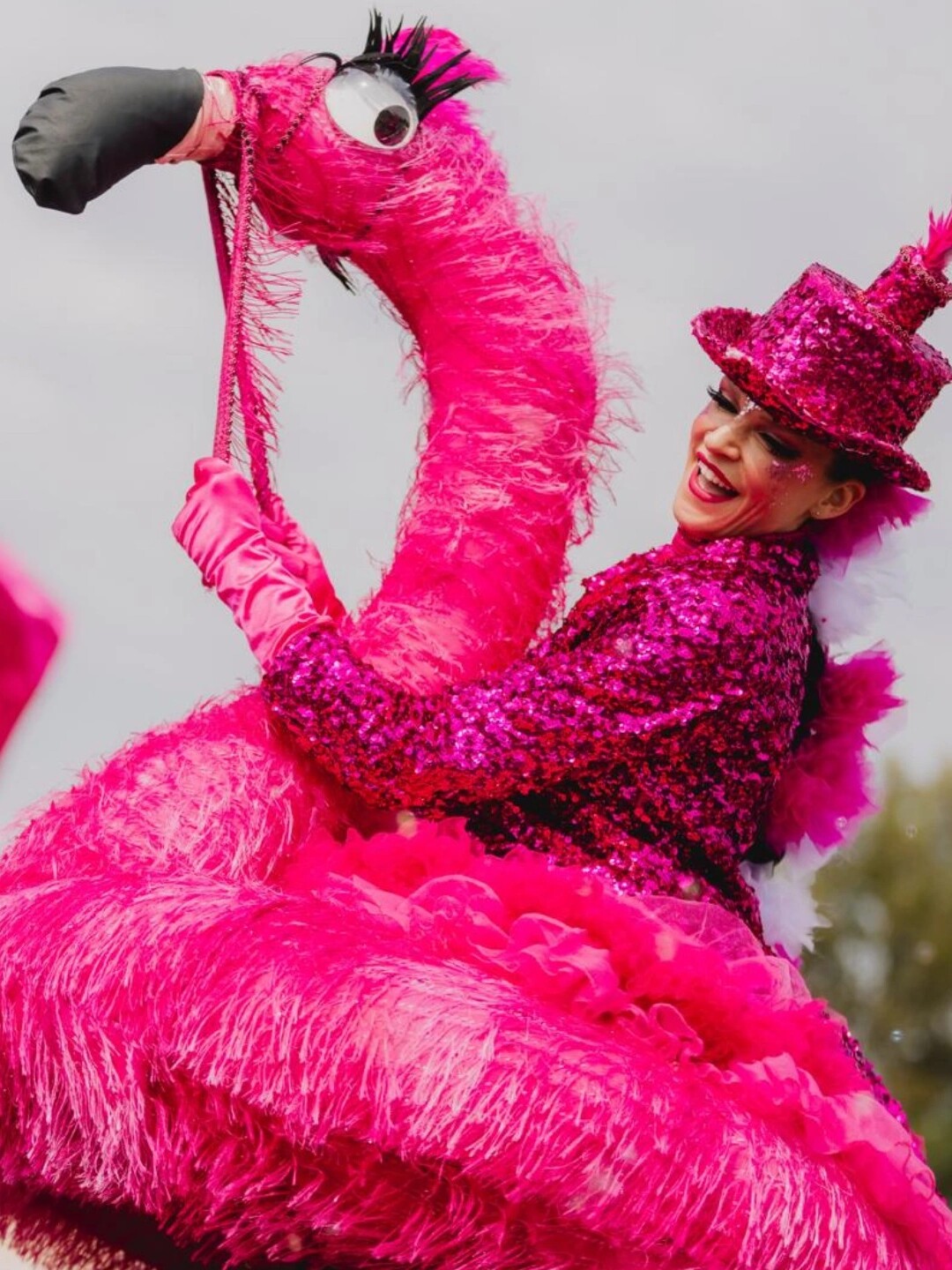 roze steltenlopers flamingo steltenact humor roze