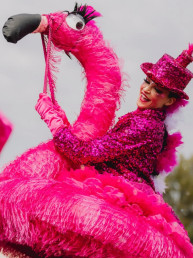 roze steltenlopers flamingo steltenact humor roze