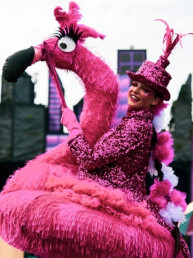 flamingo roze steltenlopers