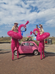 roze flamingo steltenlopers jungle safafri steltenact entertainment animatie straattheater