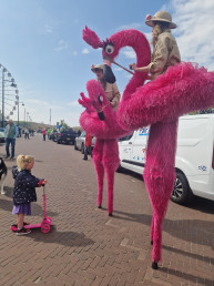 roze flamingo jungle safari steltenlopers steltenact entertainment straattheater dieeren