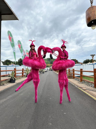 roze flamingo steltenlopers steltenloper steltenact op stelten jungle safari tropisch