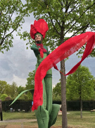 tulpen op stelten bloemen steltenlopers steltenact steltlopers groen natuur hollands entertainment