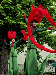 tulpen bloemen op stelten steltenlopers steltenact steltentheater