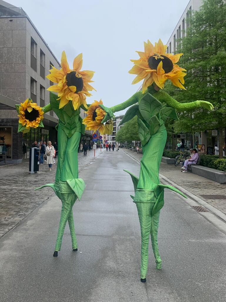 zonnebloemen bloemen op stelten steltenlopers steltenact groen natuur