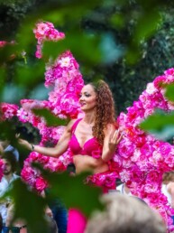 steltenlopers steltenact zomer zomerse tropisch tropical roze les fleurs bloemenpracht