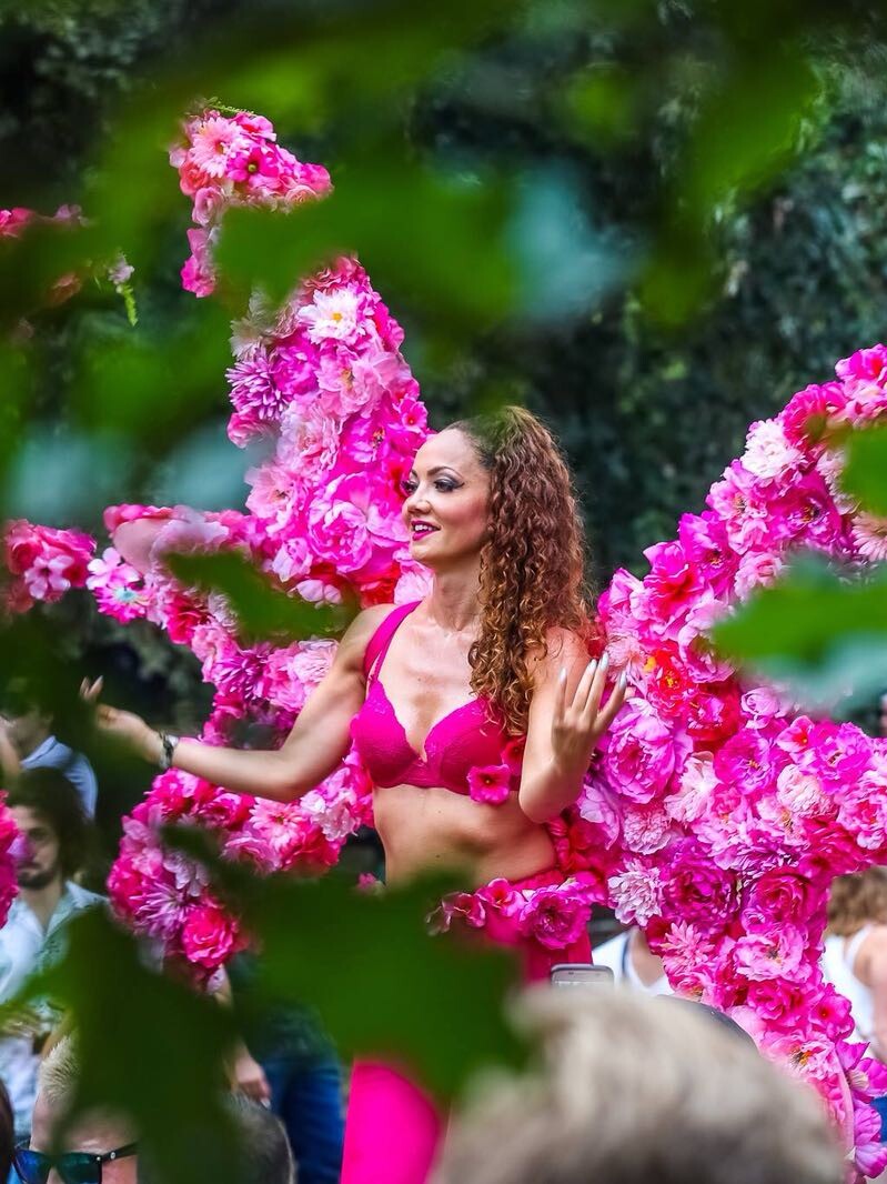 bloemen steltenlopers steltenact zomer zomerse tropisch tropical roze les fleurs bloemenpracht