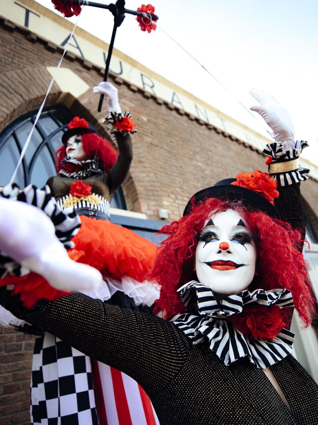 circus steltenlopers boeken? steltenacts huren voor elk evenement