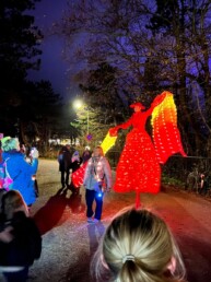 steltenact spaans verlicht