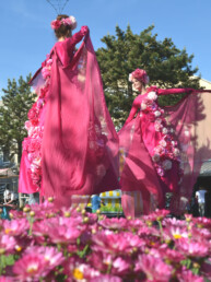 roze bloemen steltenlopers steltenact bloemen op stelten