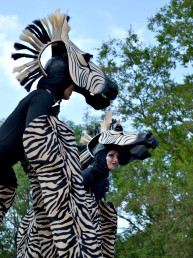 zebra steltenlopers steltenact steltentheater straattheater dierentuin entertainment