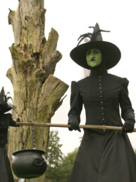 heks heksen halloween steltenact steltenlopers steltlopers huren