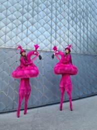 flamingo steltenlopers huren