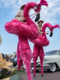 safari steltenlopers huren