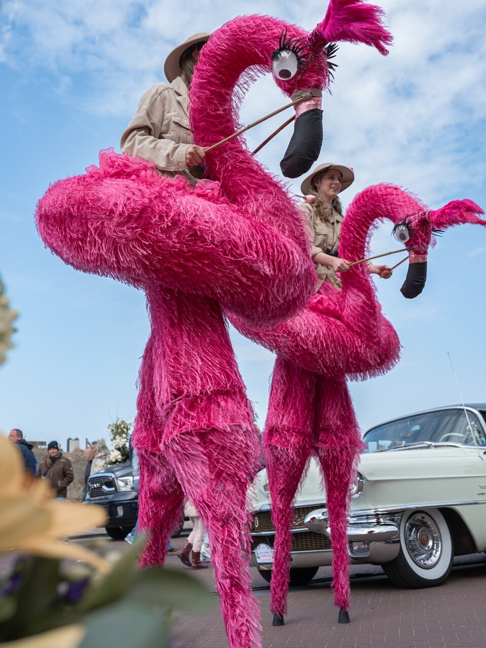 safari steltenlopers huren