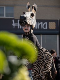 zebra jungle safari steltenlopers huren