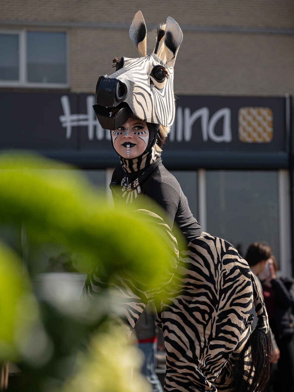 zebra jungle safari steltenlopers huren