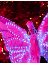 steltenlopers huren vlinders wit led