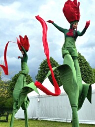 steltenlopers huren tulpen hollands lente groen entertainment