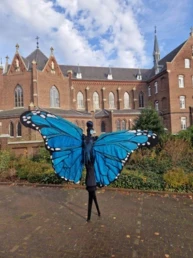 steltenlopers huren vlinders blauw lente entertainment
