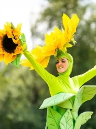 steltenlopers huren zonnebloem zonnebloemen zomer lente sense theater groen geel