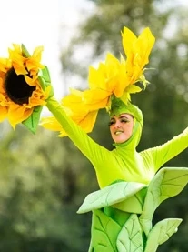 steltenlopers huren zonnebloem zonnebloemen zomer lente sense theater groen geel