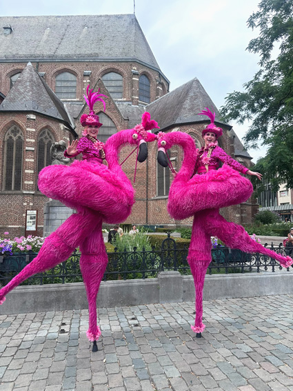steltenlopers huren tropisch flamingo ibiza roze vogel