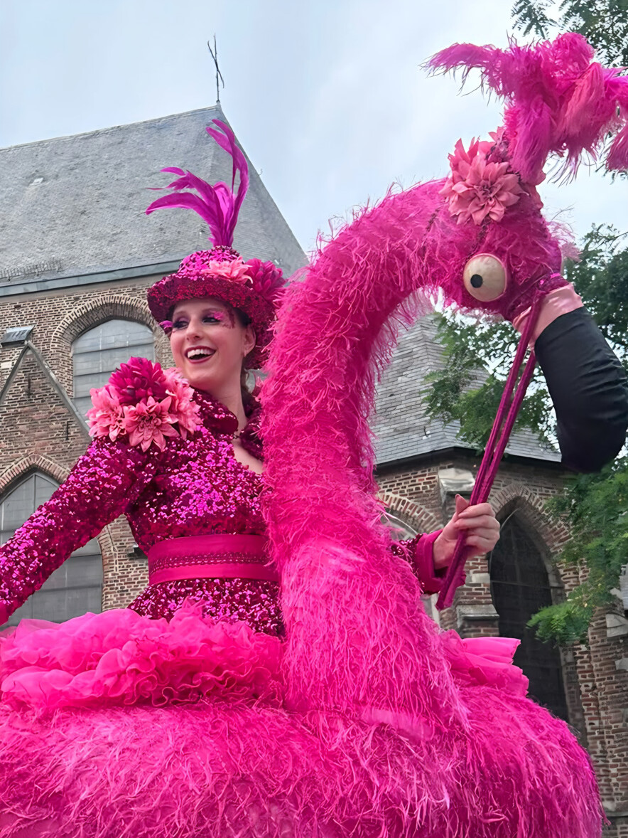 steltenlopers huren tropisch zomer flamingo ibiza roze vogel